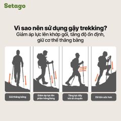 Gậy chạy trail Contoose T800 sợi carbon siêu nhẹ