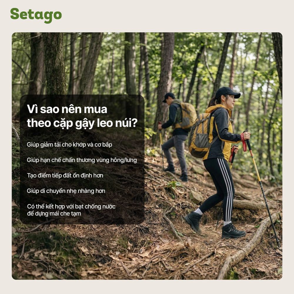 Gậy chạy trail Contoose T800 sợi carbon siêu nhẹ