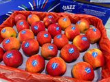  Táo Jazz New Zealand 