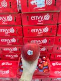 Táo Envy New Zealand Sz30 