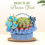  Giỏ Trái Cây “Biển Xanh Dịu Êm” 