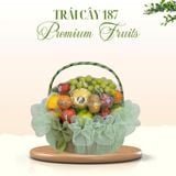  Giỏ Trái Cây “Ngọc Bích Thanh Tú” 
