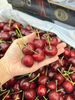  Cherry Mỹ Size 9.0 