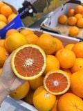  Cam Ruột Đỏ Úc 