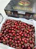  Cherry Mỹ Size 9.0 