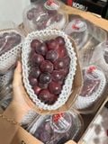  NHO MẪU ĐƠN ĐỎ HÀN QUỐC - HỘP 