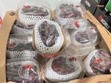  NHO MẪU ĐƠN ĐỎ HÀN QUỐC - HỘP 