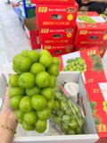  Nho Sữa Đài Loan 
