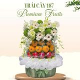  Giỏ Trái Cây Nhập Khẩu Cao Cấp – Dáng Tháp Sang Trọng 