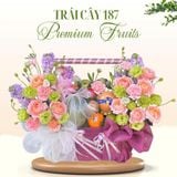  Giỏ Trái Cây Nhập Khẩu Cao Cấp – Tone Pastel Nhẹ Nhàng 