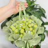  Hộp Nho Xanh Cao Cấp – Thanh Mát Tinh Tế 
