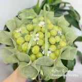  Hộp Nho Xanh Cao Cấp – Thanh Mát Tinh Tế 