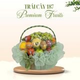  Giỏ Trái Cây “Ngọc Bích Thanh Tú” 