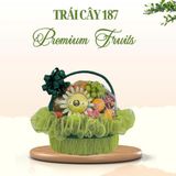  Giỏ Trái Cây “Green Prosperity” 
