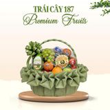  Giỏ Trái Cây “Verdant Harmony” 