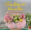  Giỏ Trái Cây Hồng Thanh Nhã | Trái Cây 187 