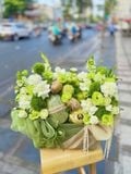  Giỏ Trái Cây Hoa Tươi Xanh Kem | Trái Cây 187 