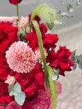 Giỏ Trái Cây Đỏ Kem Sang Trọng | Trái Cây 187 