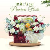  Giỏ Trái Cây Hoa Tươi – Tone Đỏ Trắng Thanh Lịch 