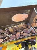  CHÀ LÀ NGUYÊN CÀNH TUNISIA – DẺO NGỌT TỰ NHIÊN 