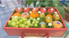  Hộp Trái Cây Nhập Khẩu Cao Cấp – Fresh Fruit Healthy You 