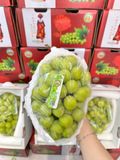  Nho Sữa Đài Loan Hộp VIP ~1..5KG 