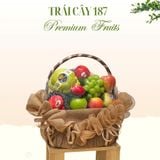  Giỏ Trái Cây Caramel Grace 