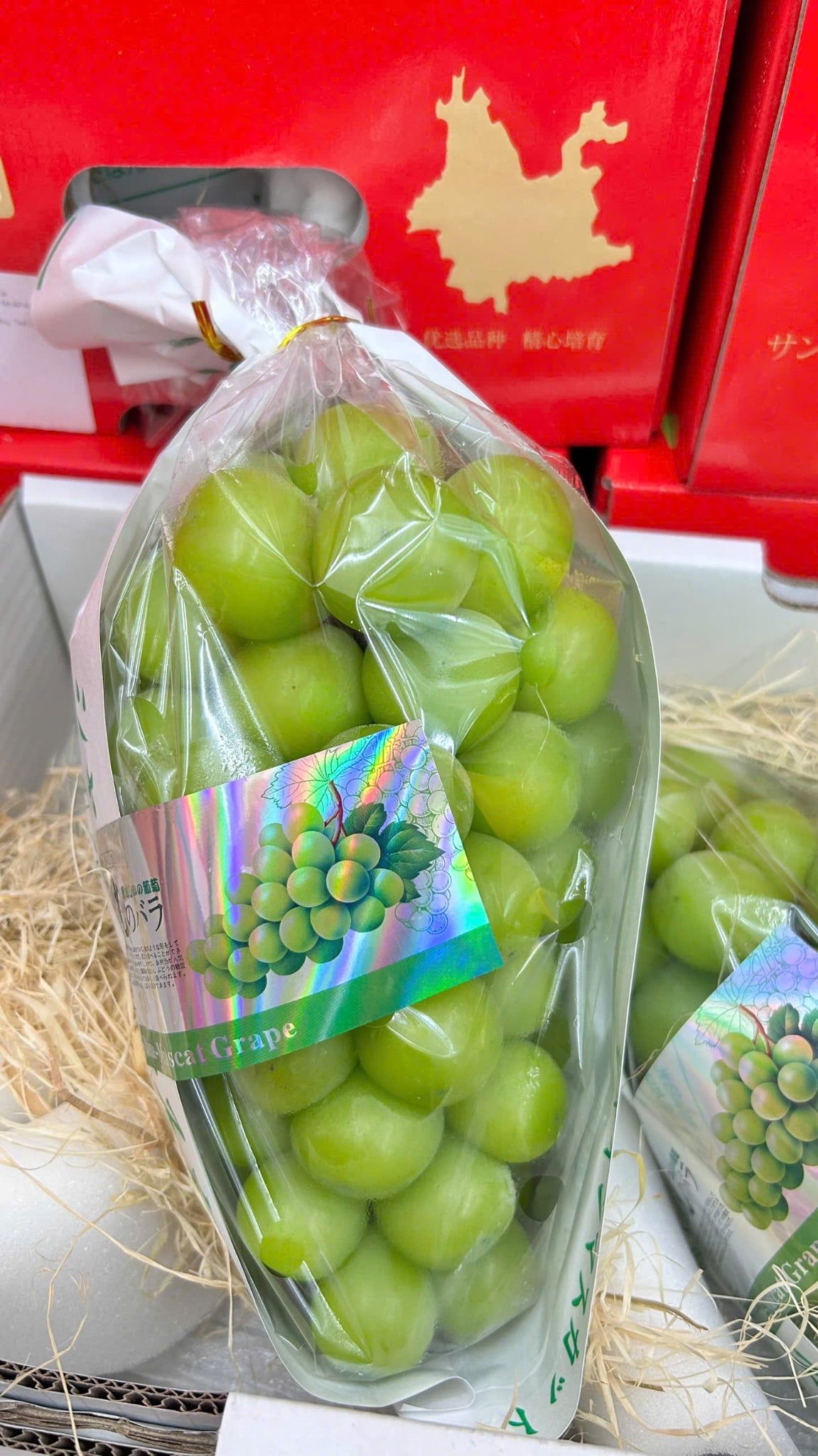  Nho Sữa Xuất Nhật 