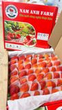  Dâu Đà Lạt Giống Nhật - Hộp 500g 