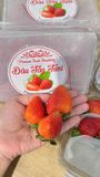  Dâu Đà Lạt Giống Mỹ - Hộp 300g 