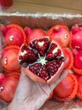  Lựu Rubi Hạt Mềm 