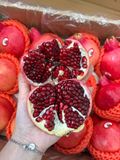  Lựu Rubi Hạt Mềm 