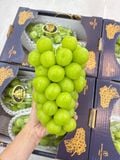  Nho Mẫu Đơn Hàn Quốc 