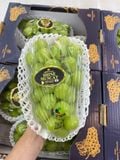  Nho Mẫu Đơn Hàn Quốc 