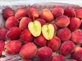  Táo Cherry 