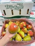  Lê Nam Phi Tru-Cape 