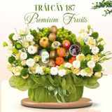  Giỏ Trái Cây Nhập Khẩu Cao Cấp – Xanh Thanh Lịch 