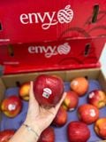  Táo ENVY Size 24 