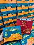  QUÝT MINI HELLOCITRUS – NGỌT MỌNG CỰC CUỐN 