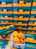  QUÝT MINI HELLOCITRUS – NGỌT MỌNG CỰC CUỐN 
