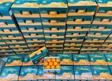  QUÝT MINI HELLOCITRUS – NGỌT MỌNG CỰC CUỐN 