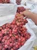  🍇 Nho Đỏ Ruby Sweet Premium 
