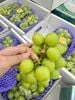  🍇 Nho Xanh Sữa Đài Loan 