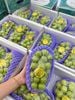  🍇 Nho Xanh Sữa Đài Loan 