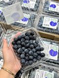 Việt Quất Mỹ Premium 