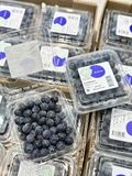  Việt Quất Mỹ Premium 