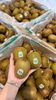  Kiwi Xanh Zespri New Zealand 