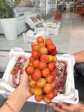  NHO ĐỎ RUBY 