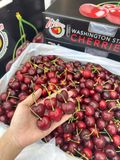 Cherry Đỏ Mỹ Size 9.5 