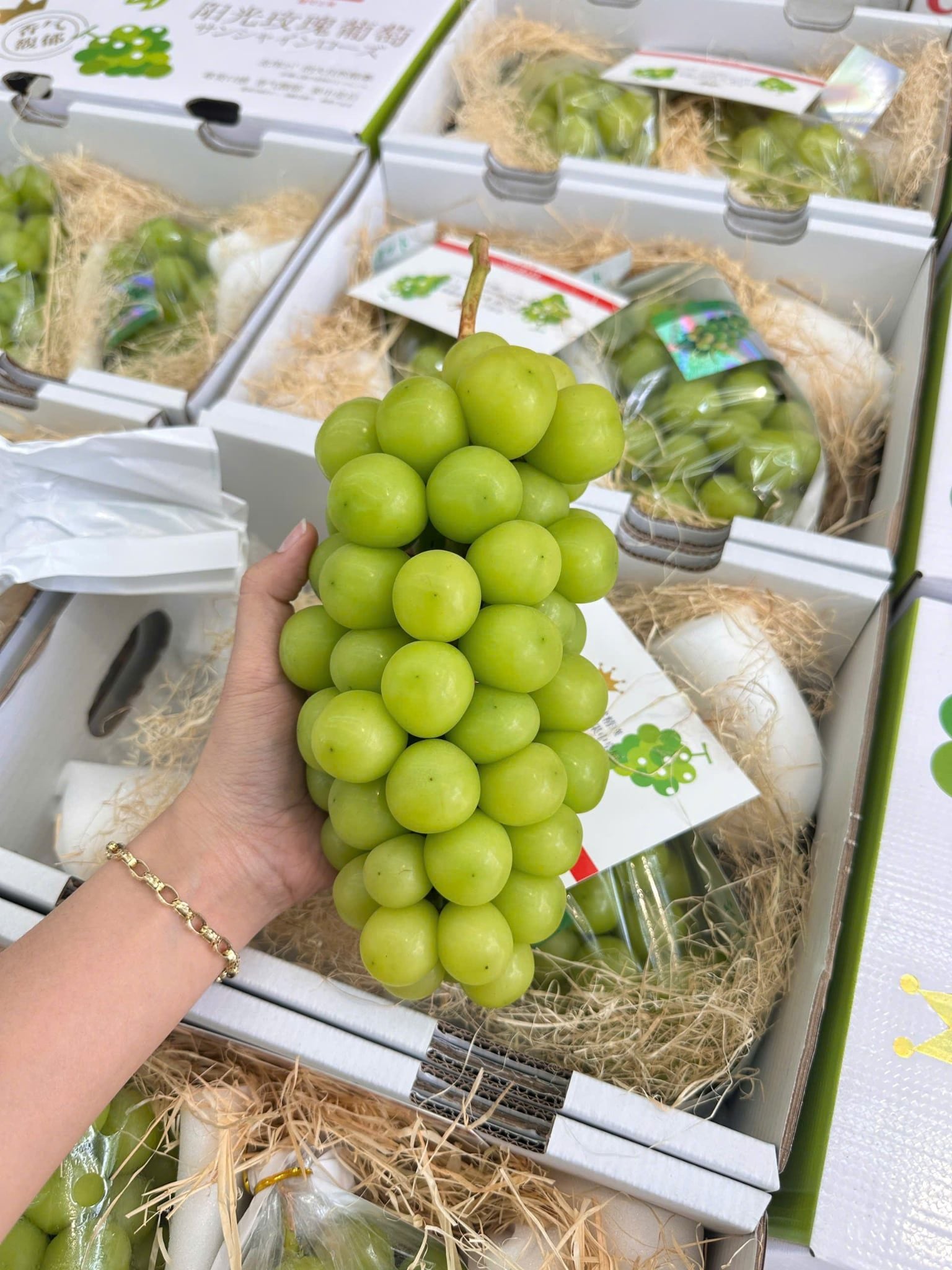  Nho Sữa Xuất Nhật 